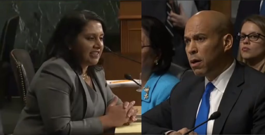 Conservative lawyer Neomi Rao was challenged by Cory Booker over her criticism of the ruling that legalised gay sex