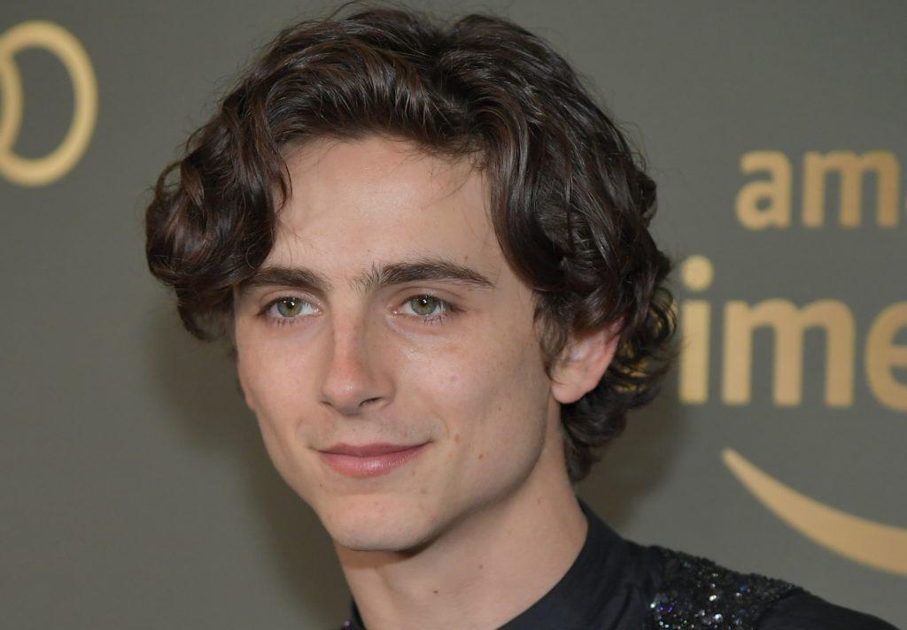 Timothee Chalamet attends the Amazon Prime Video's Golden Globes Awards After Party at The Beverly Hilton Hotel on January 6 2019