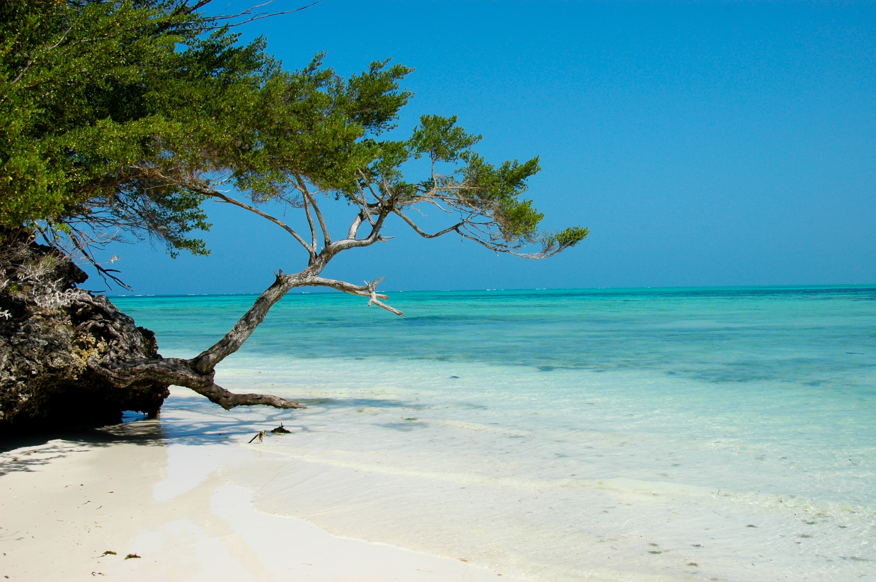 Pongwe Beach in Zanzibar, where ten men were arrested for being gay.