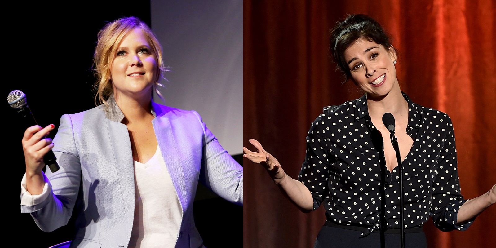 Amy Schumer and Sarah Silverman are under fire