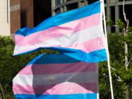 Trans pride flags flutter in the wind at a gathering to celebrate International Transgender Day of Visibility, March 31, 2017 at the Edward R. Roybal Federal Building in Los Angeles, California. International Transgender Day of Visibility is dedicated to celebrating transgender people and raising awareness of discrimination faced by transgender people worldwide. / AFP PHOTO / Robyn Beck (Photo credit should read ROBYN BECK/AFP/Getty Images)