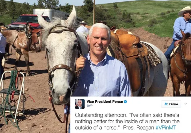 Mike Pence tweeted about a horse and it got weird. (Twitter)