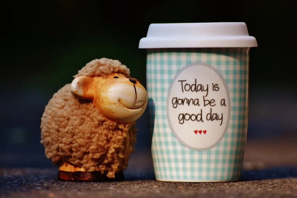 Today is gonna be a good day cup next to smiling sheep