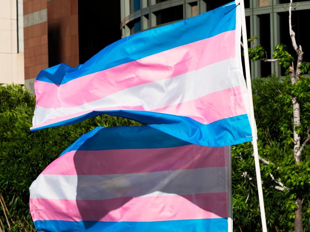 Denmark could soon allow trans teens to legally change gender