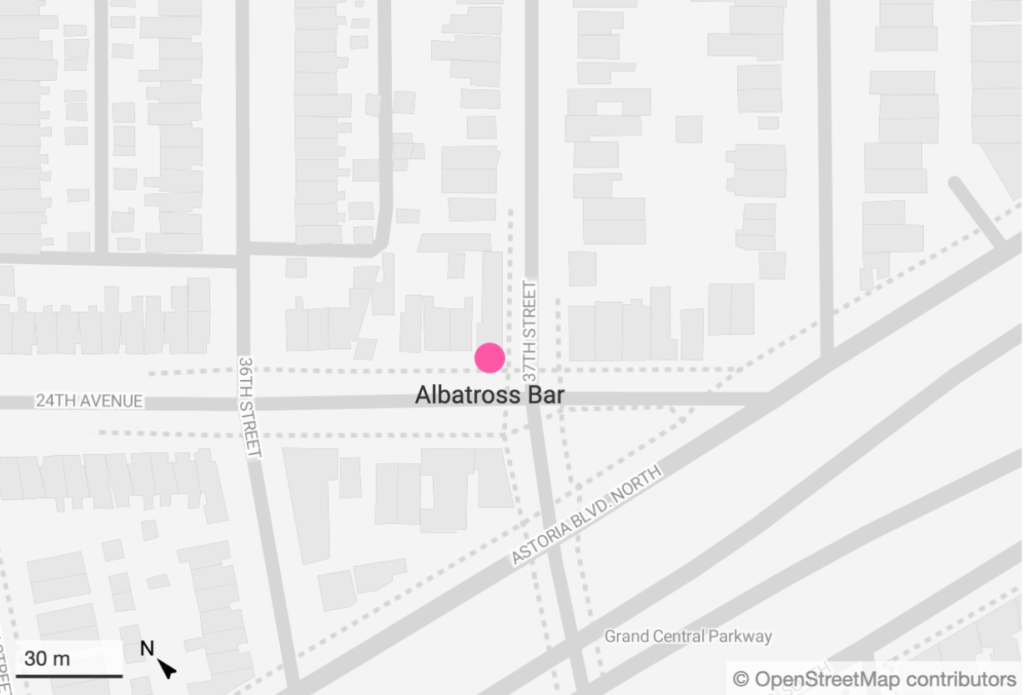 Albatross Bar, one of the oldest queer bars in western Queens, is known for its cheap drinks and regular drags acts. (PinkNews)
