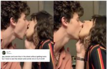 Singers Shawn Mendes and Camila Cabello "kissing" has got LGBT+ Twitter thinking the same thing (Instagram)