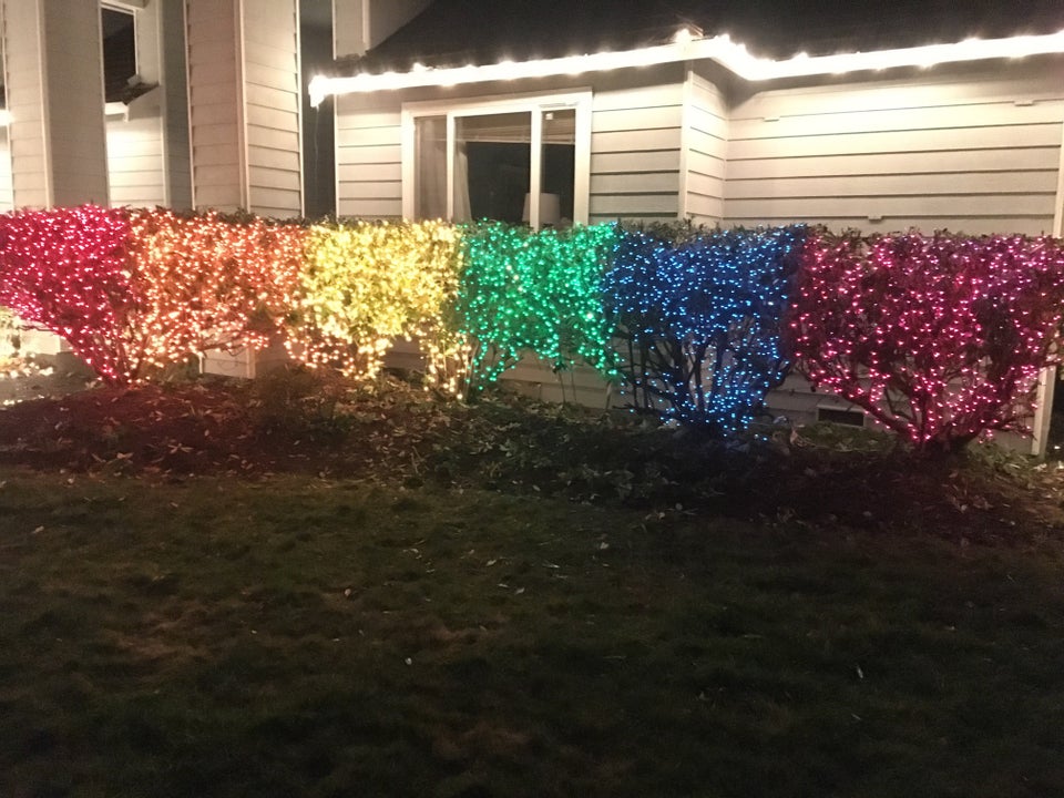 Lexi Magnusson embellished her front-lawn bushes with Pride flag-themed Christmas lights. (reddit)