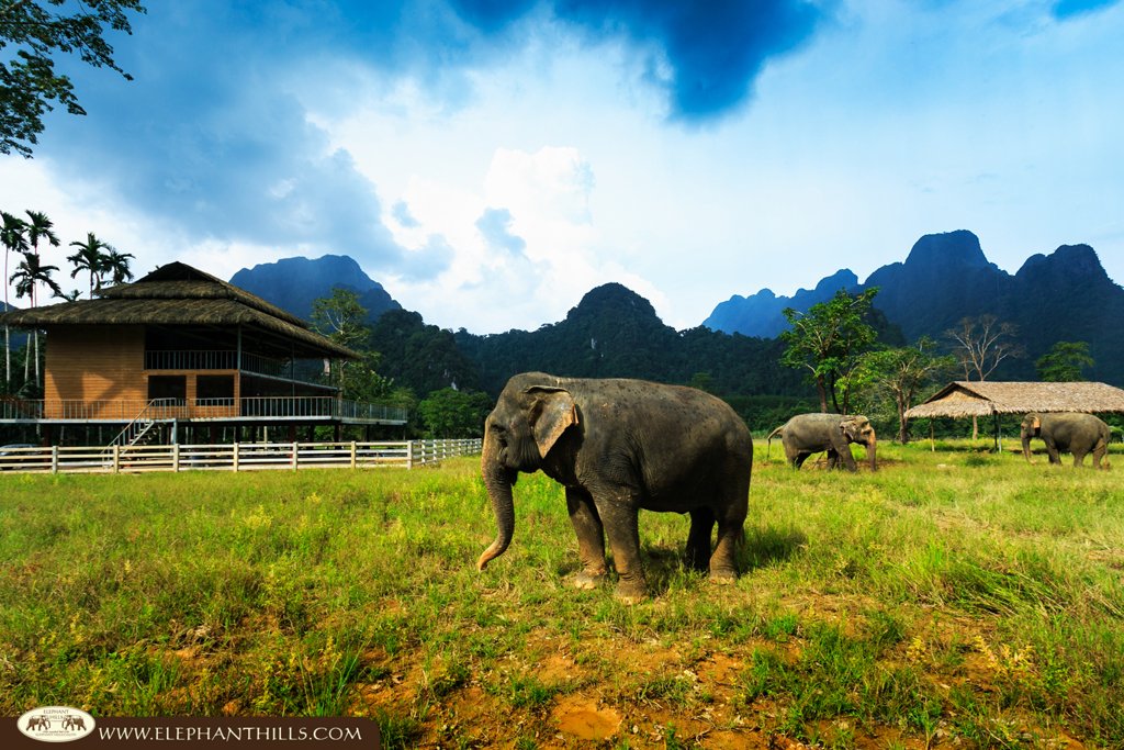 The elephant sanctuary (Elephant Hills)