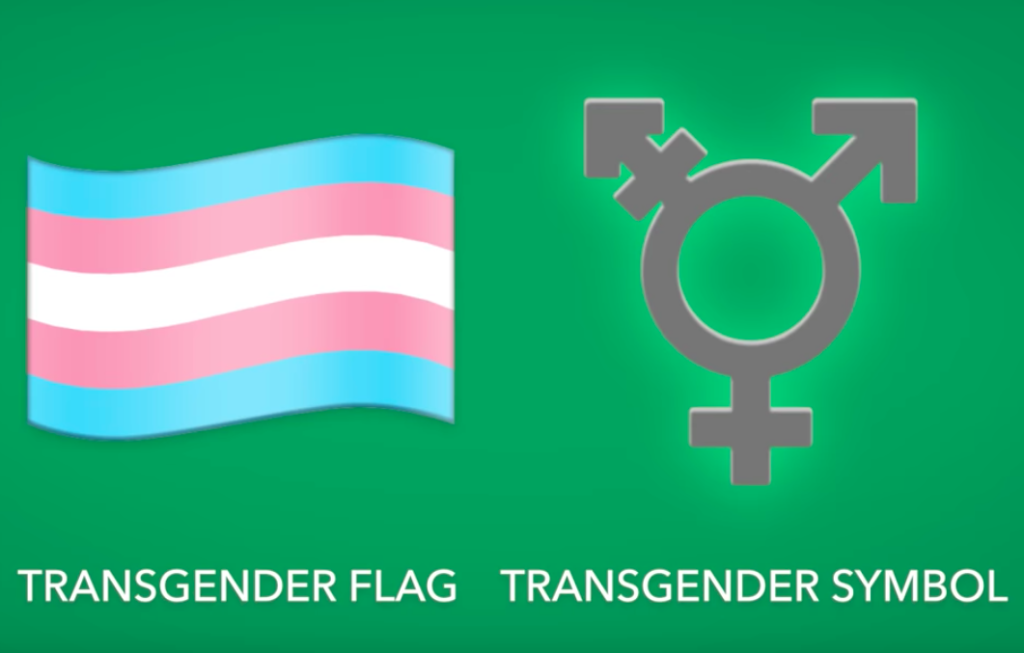The long-awaited trans Pride flag emoji is finally coming to phones in 2020