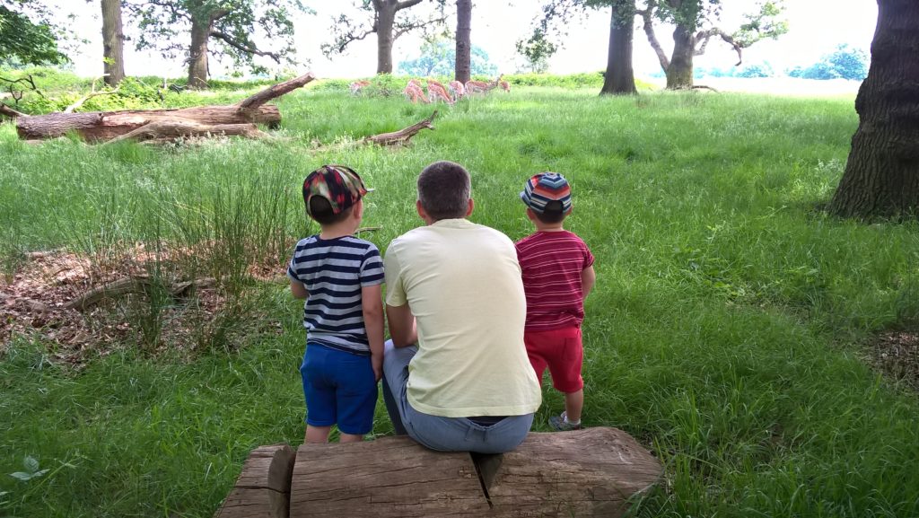 LGBT adoption: Same-sex couple share their 'amazing journey' to twins