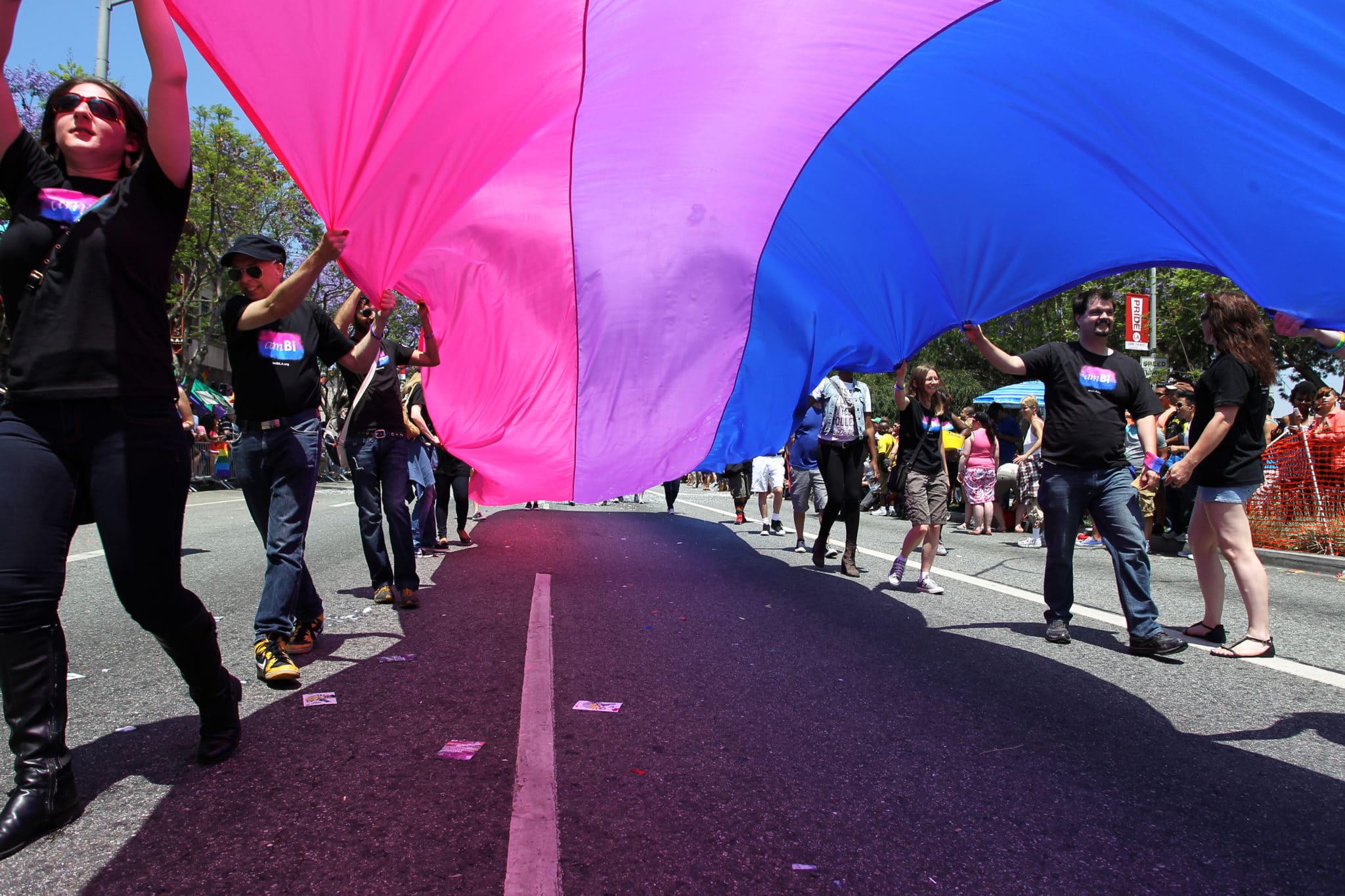 People marching with anBi, a bisexual organization, carry a bisexual flag in the LA Pride Parade 