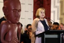 judith collins new zealand national party