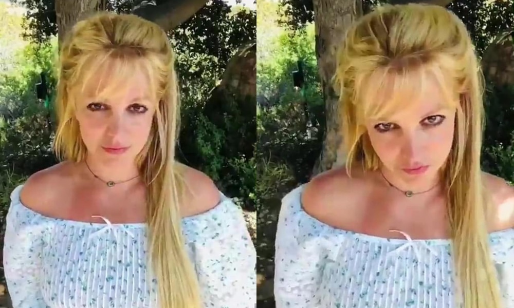 Side-by-side of two images of Britney Spears posing to the camera in front of bushes in a crop top