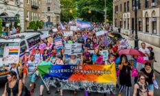 Trans Rights Activists lgbt