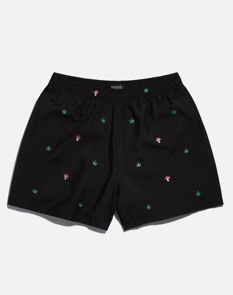 The embroidered shorts from Urban Outfitters.
