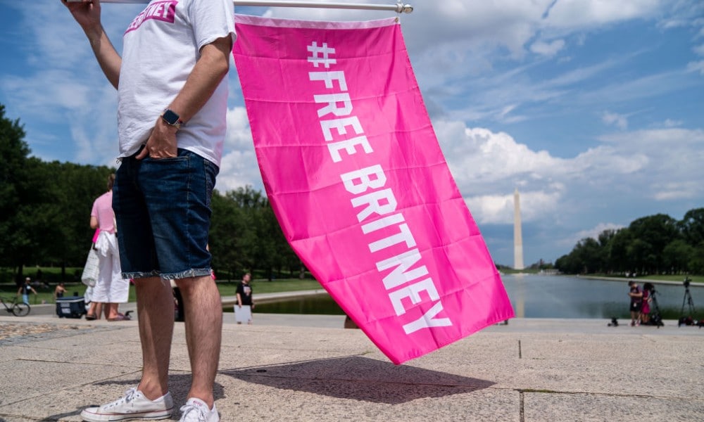 Britney Fan holds a pink flag saying #FreeBritney in Washington DC