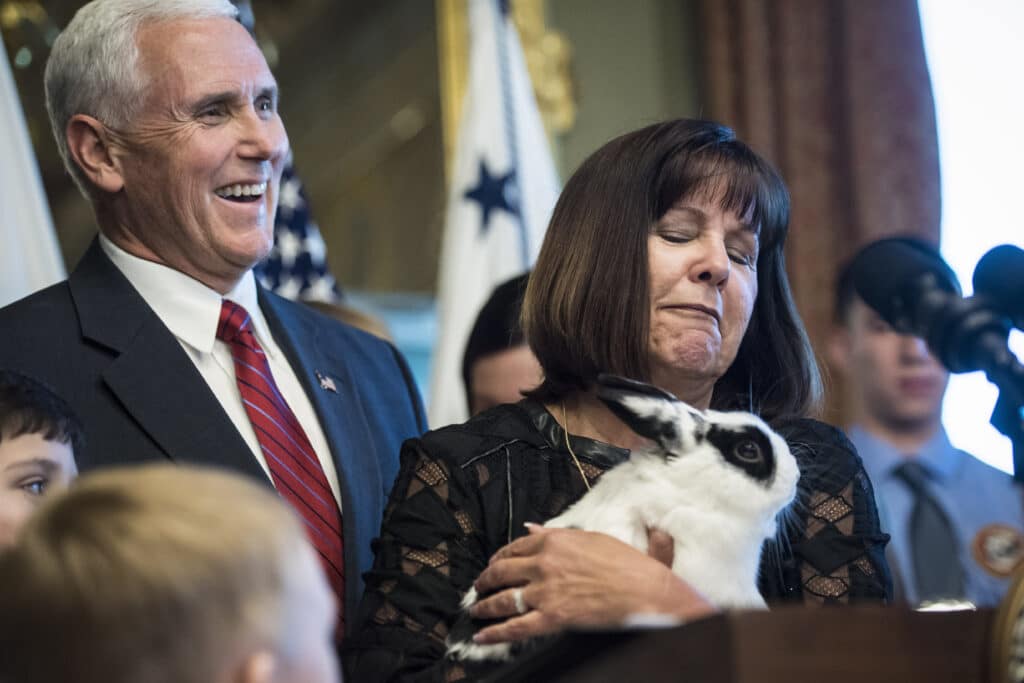 Former vice president Mike Pence and his wife Karen Pence look over their pet rabbit, Marlon Bundo