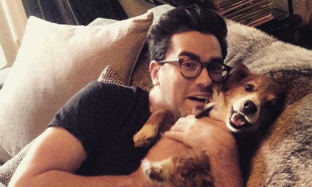 Dan Levy holds a fluffy brown and white dog