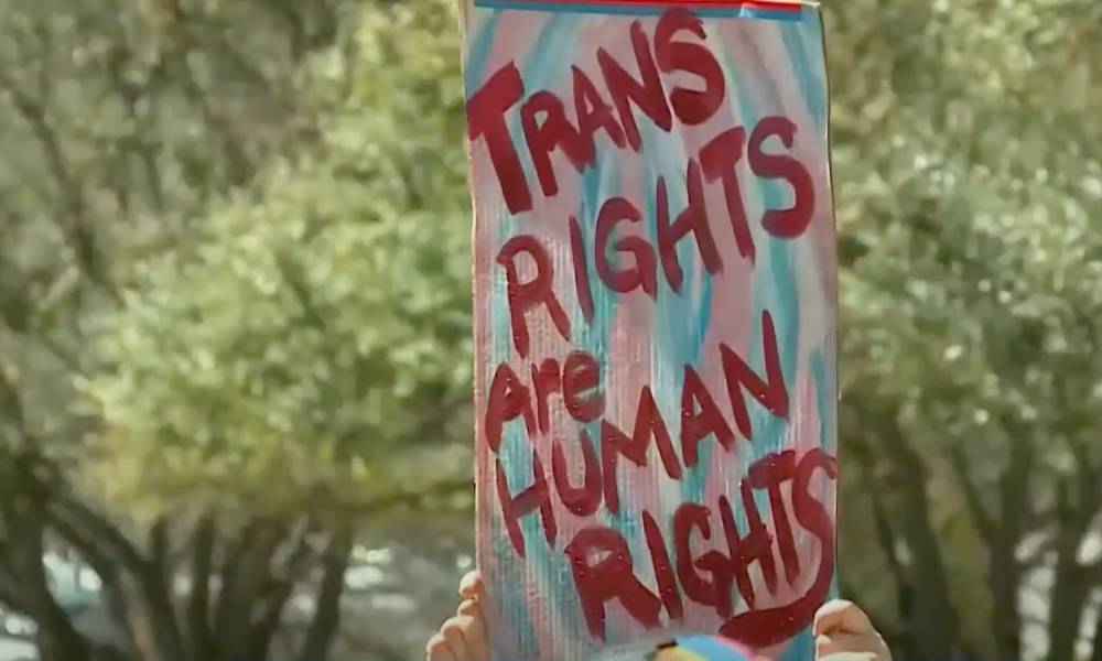 A person holds a sign that reads "Trans rights are human rights"