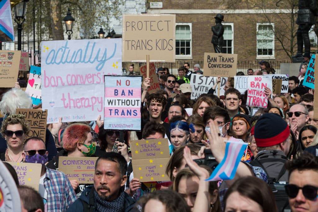 Landscape image of protesters and protest signs at anti-conversion therapy demonstration.