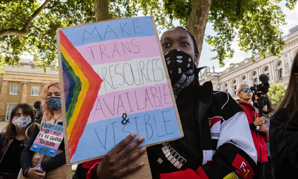 A person holds up a sign that reads 'Make trans resources available & visible'. The sign has blue, pink and white stripes like the trans Pride flag with one corner with a design reminiscent of the progressive Pride flag