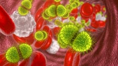 Illustration of spiky green cells among stringy-looking red cells