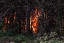 This picture taken on July 17, 2022, shows a forest fire near Louchats in Gironde, southwestern France.