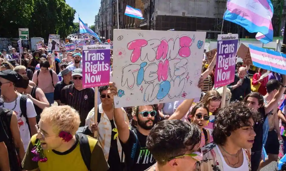 Several people in a crowd wave trans pride flags as one person holds up a sign that reads 'Trans rights now'