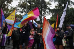 Cette photo montre les participants de Pride célébrant en agitant divers drapeaux de Pride
